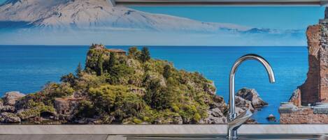 Fridge, oven, stovetop, coffee/tea maker