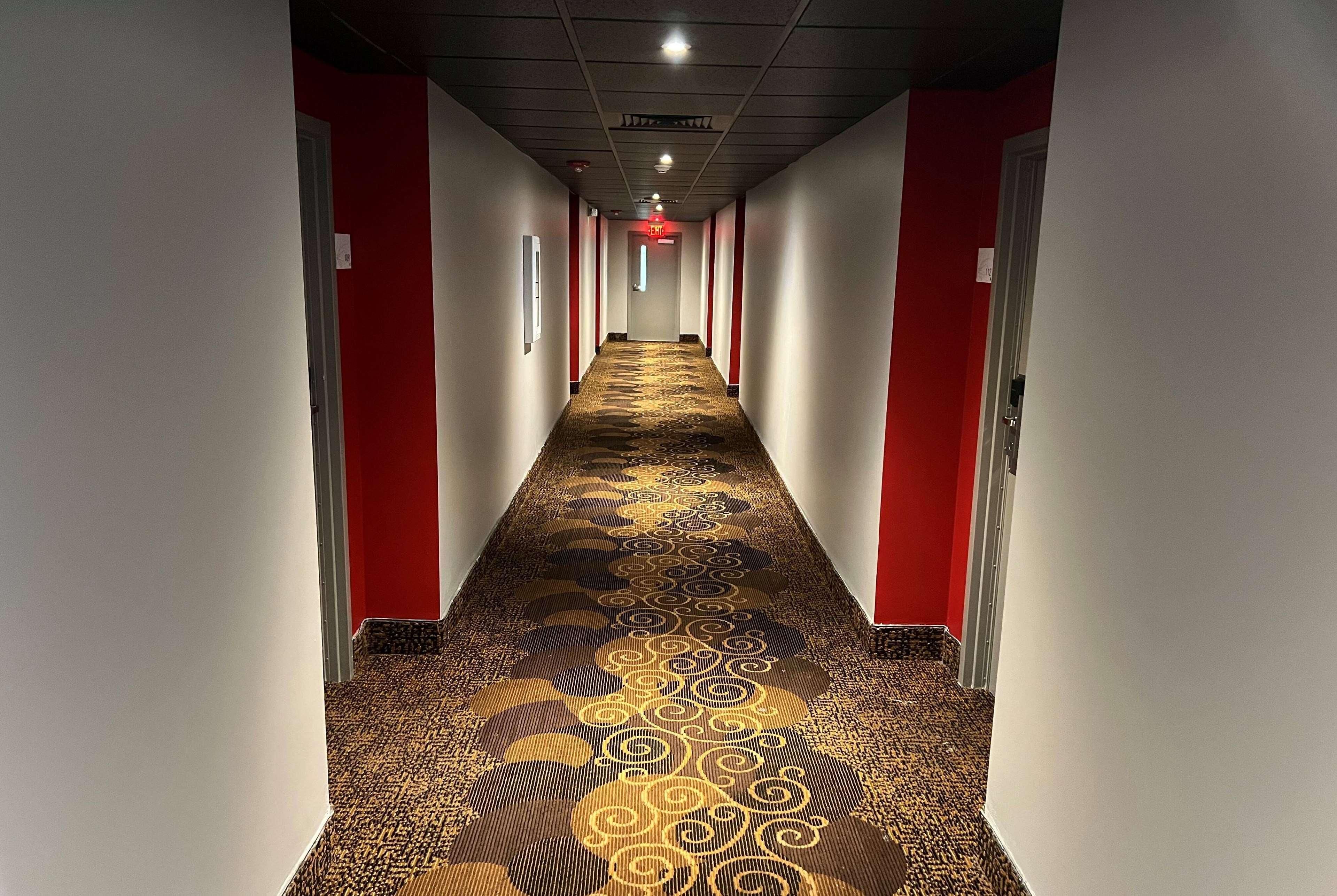 A hallway with patterned carpet, red walls, and white doors.