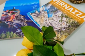 Zwei Reisemagazine mit Küstenansichten und einem Zweig mit grünen Blättern.