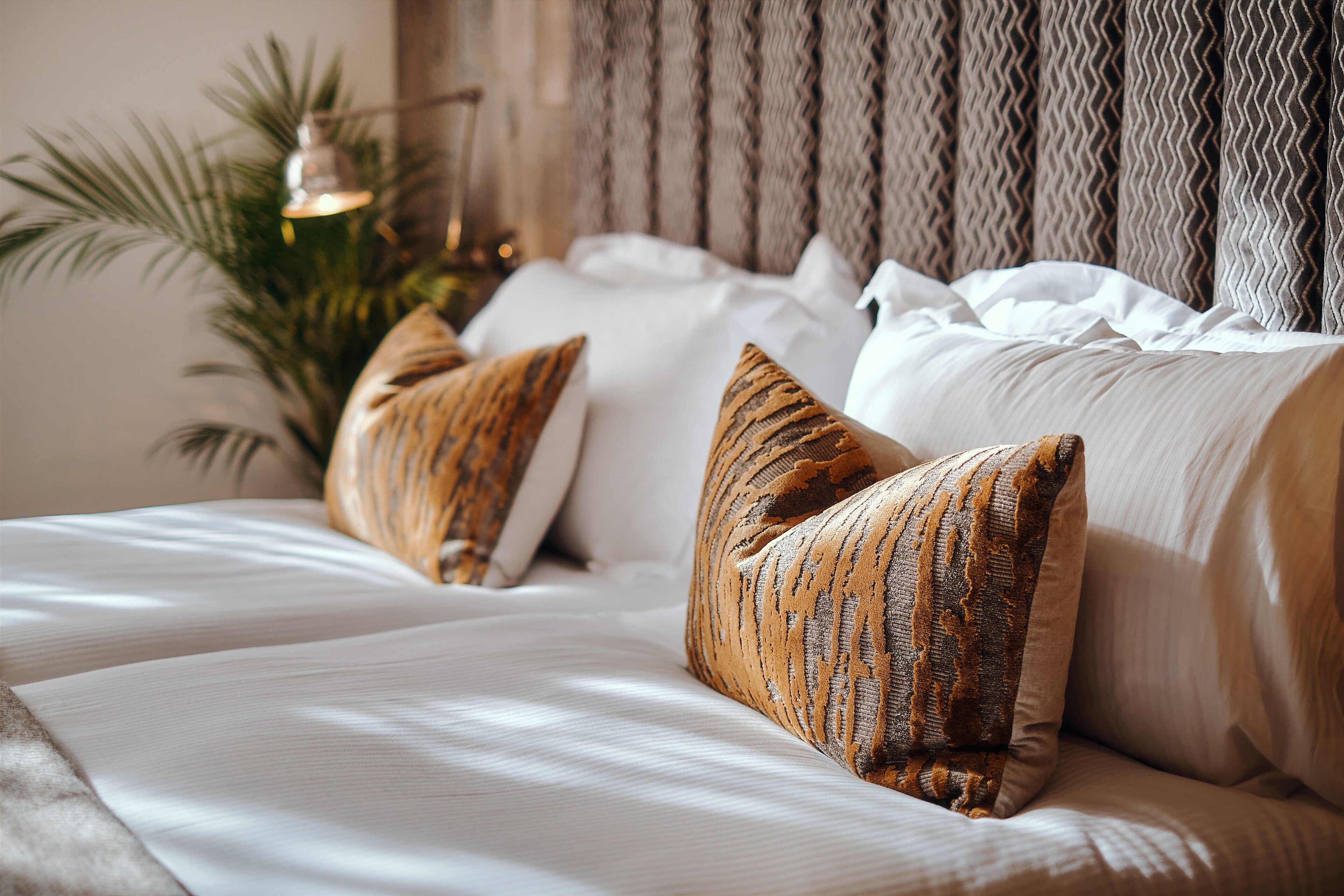 Photo - The Black Lion Pub & Boutique Guesthouse