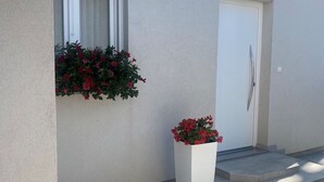 Une façade d’immeuble avec une fenêtre, une porte et un pot de fleurs.