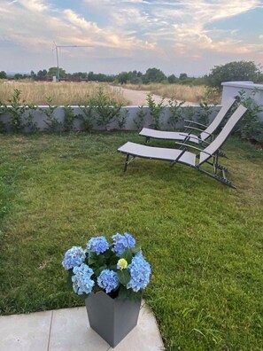 Ein Garten mit einem Betonweg, einem Blumentopf mit blauen Blüten und zwei Liegestühlen.