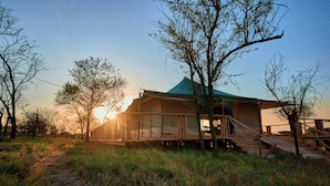 A wooden cabin with a glass enclosure, a deck, and a staircase leading to the entrance. - Moyo Tented Camp (Serengeti)