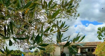 Maison en pierre avec piscine 10 couchages au cĆur d'une ferme