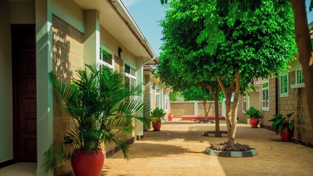 Un patio con un camino empedrado, plantas en macetas y un árbol.