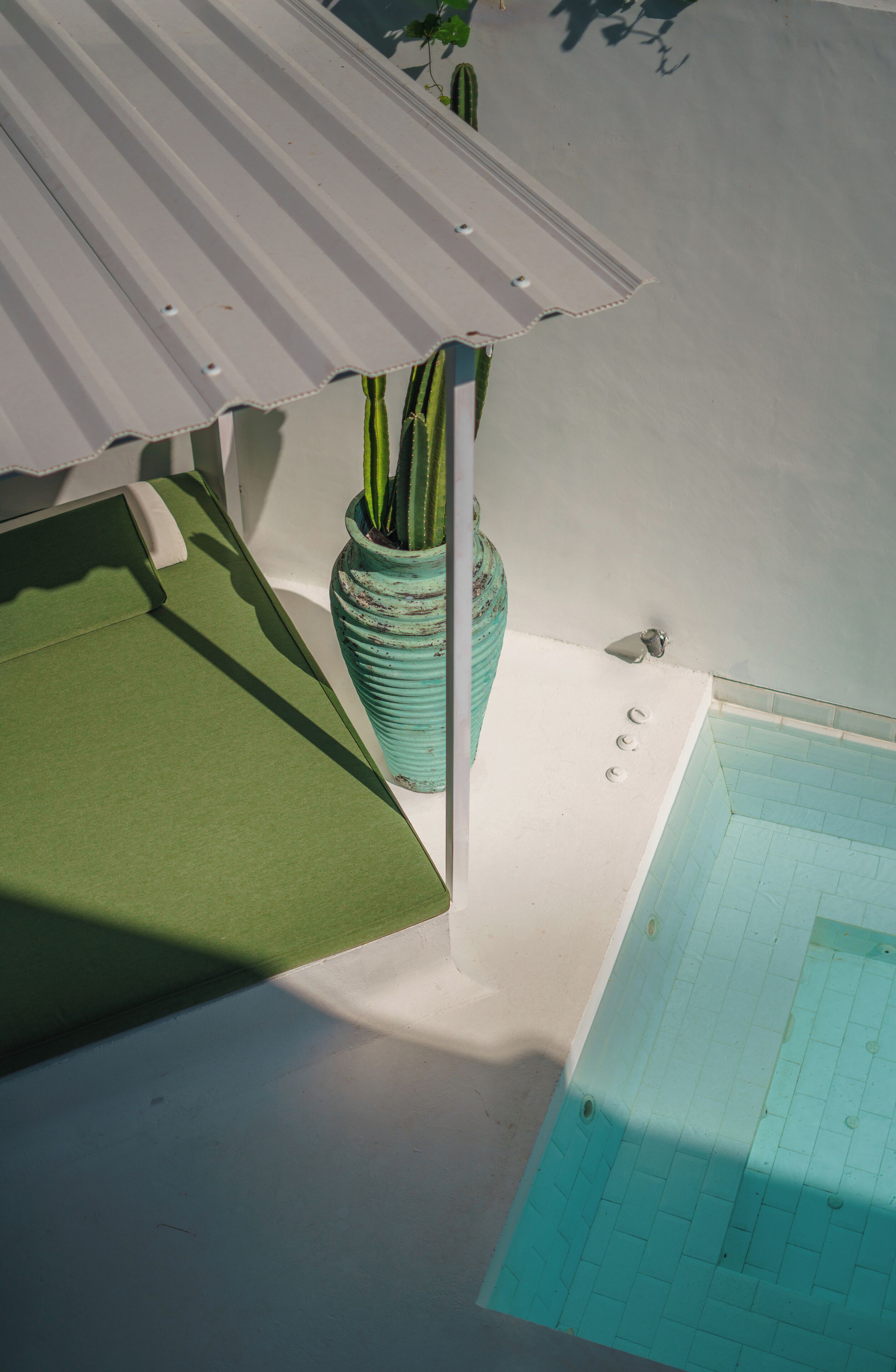 Un espace piscine agrémenté d’un fauteuil de jardin vert, d’un cactus en pot et d’une piscine carrelée.