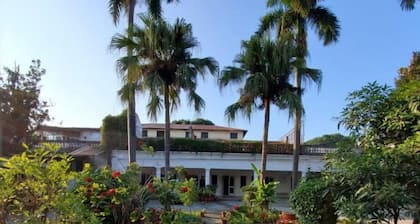 Mango Tree Courtyard Dehradun