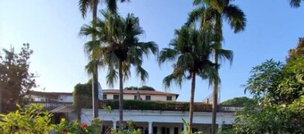 Mango Tree Courtyard Dehradun