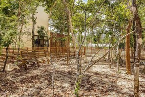 Property grounds - Private Rooftop Pool, 2 Cenotes, Yoga, Restaurant (Tulum)