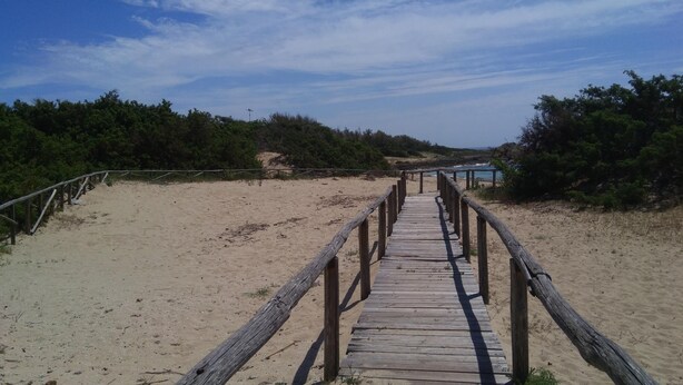 Ein hölzerner Steg führt zu einem Strand mit sandigem Gelände und dichter Vegetation an beiden Seiten.