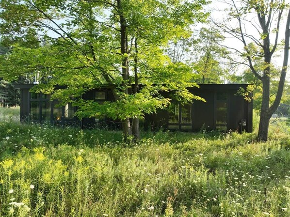 A rustic cabin surrounded by tall trees and dense greenery.