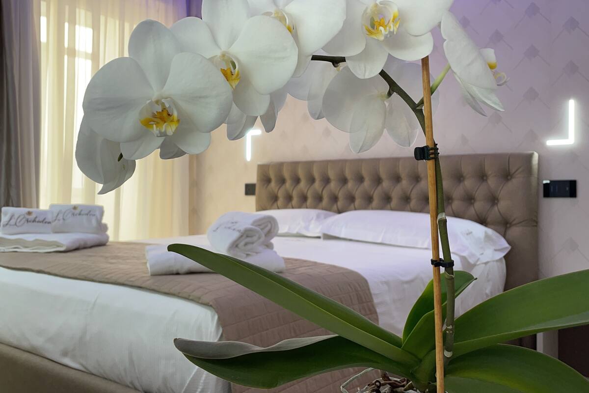 A hotel room with a bed, a large orchid plant, and neatly folded towels on the bed.