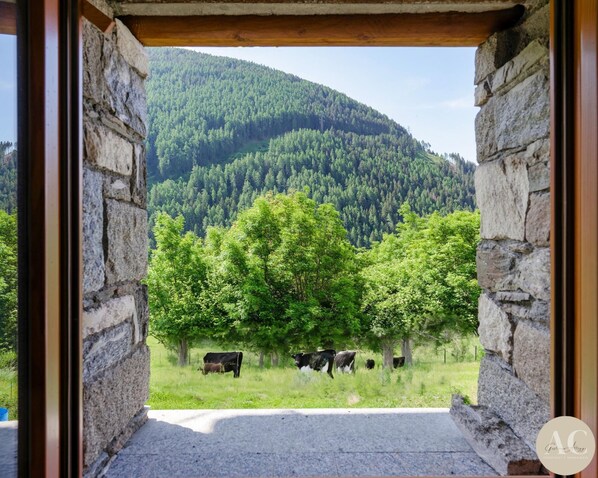 Apartamento | 3 quartos