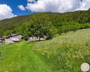 Apartment | 3 Schlafzimmer