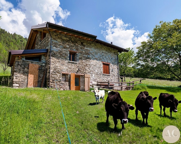 Maison | 3 chambres