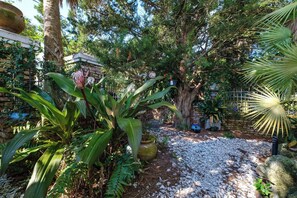 A garden with a variety of plants, a large tree, and a brick wall.