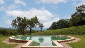 Ein runder Swimmingpool mit Steinkante, umgeben von einem Pflasterweg, inmitten einer grünen Wiese mit Bäumen und Blick auf ferne Hügel.