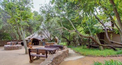 Warthogs Bush Lodge