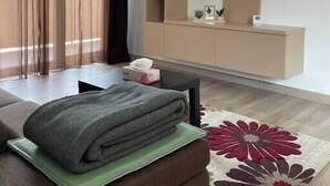 Un salon moderne avec un téléviseur à écran plat fixé au mur, un canapé, une table basse et un tapis décoratif.
