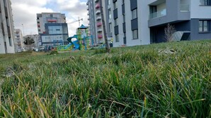 A grassy area with playground equipment and modern buildings in the background. - Cozy Flowers Studio • Near Coresi Mall (Brașov)