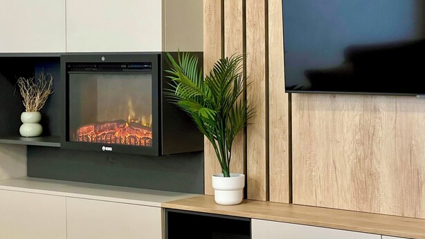 Un salon moderne avec une cheminée, un téléviseur à écran plat et une plante en pot.