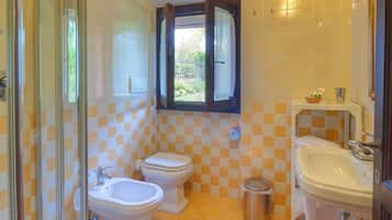 Shower, hair dryer, bidet, towels