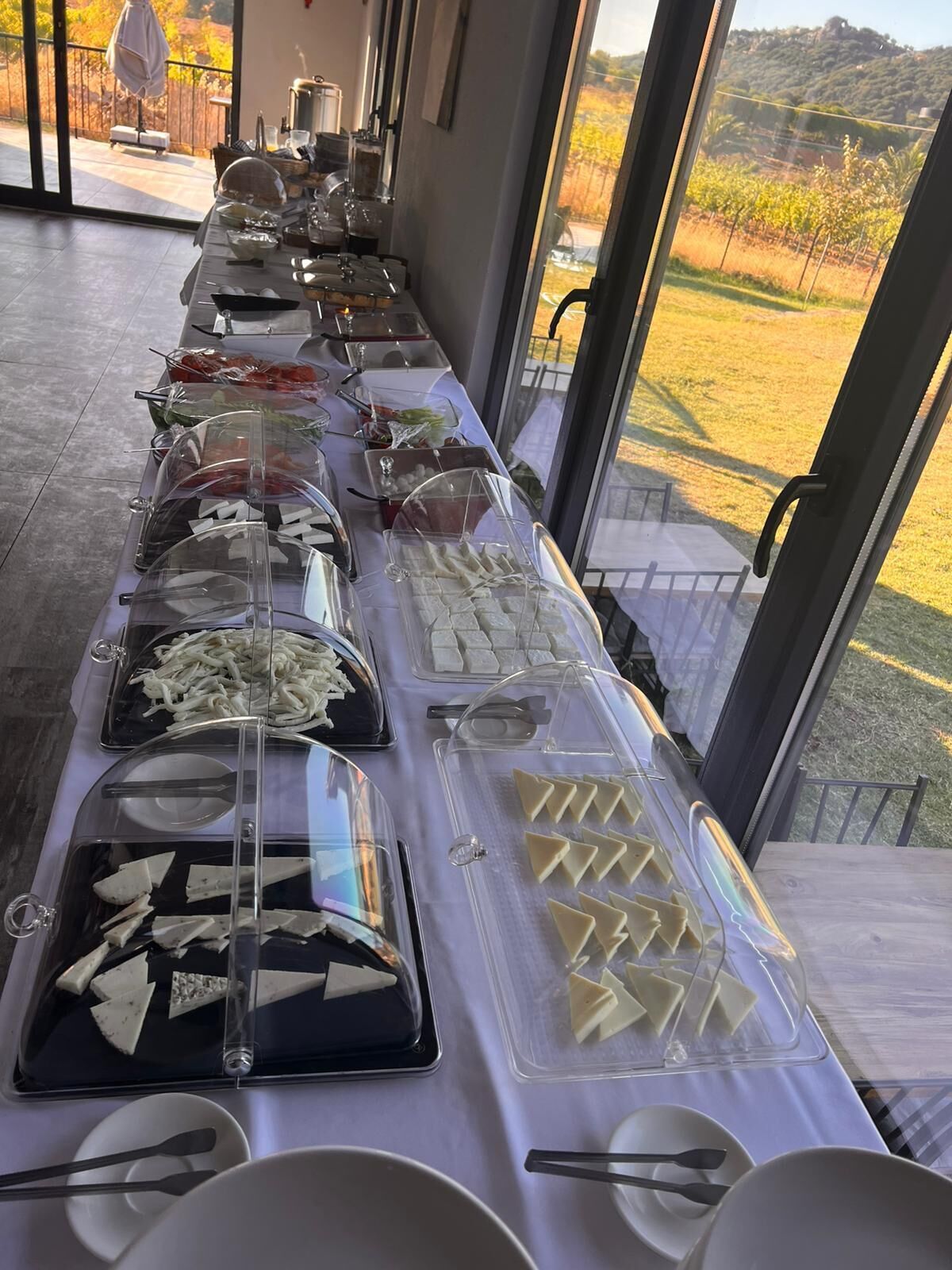 Desayuno buffet incluido todos los días 