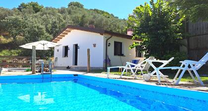 Pony's Cottage in Tuscan hills facing the sea