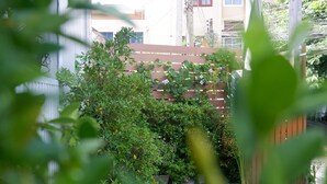 Een tuin met weelderige beplanting en een houten omheining.