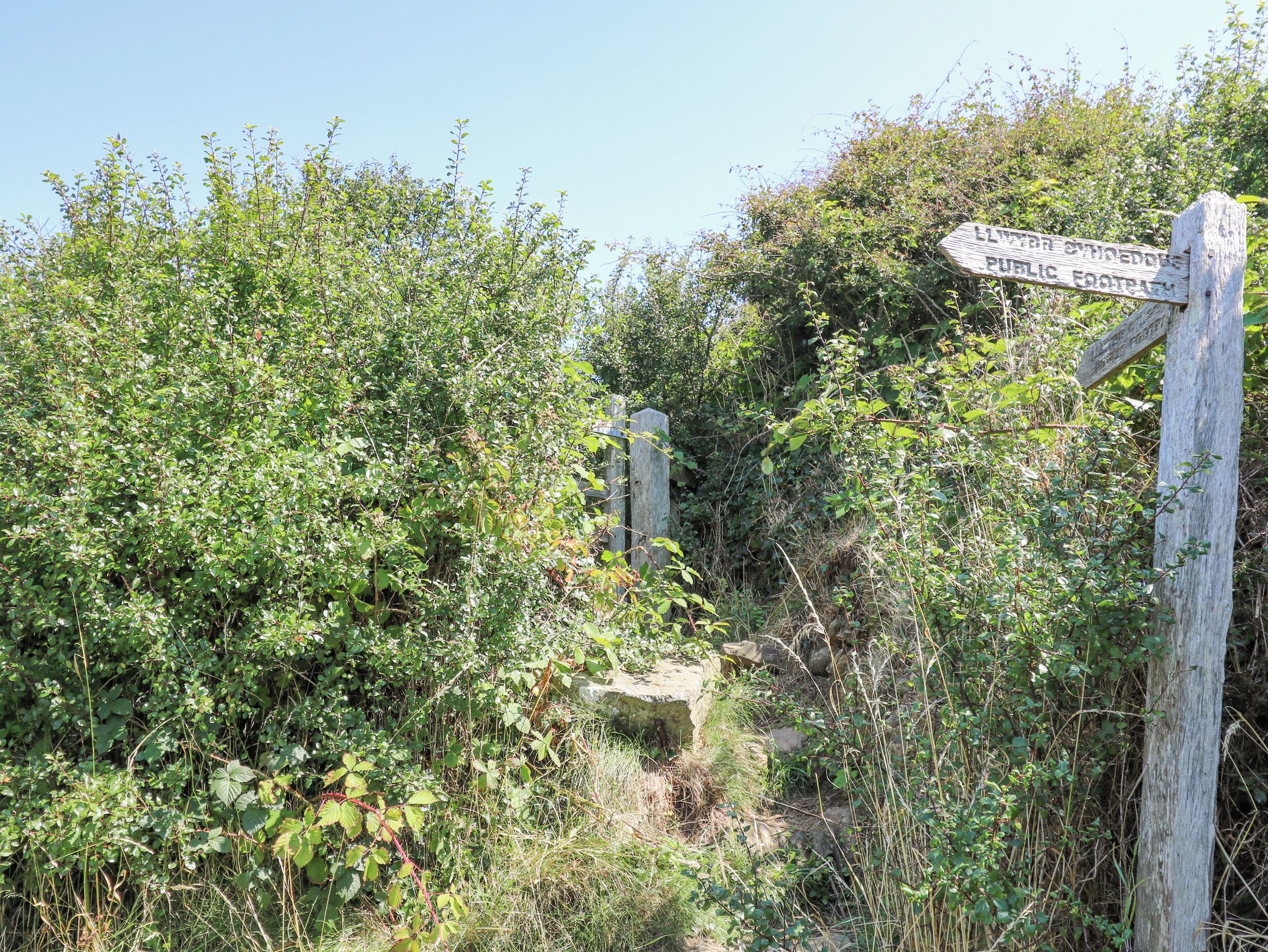 A wooden signpost in a natural setting with dense foliage.