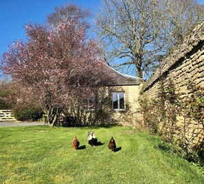 Terrein van de accommodatie