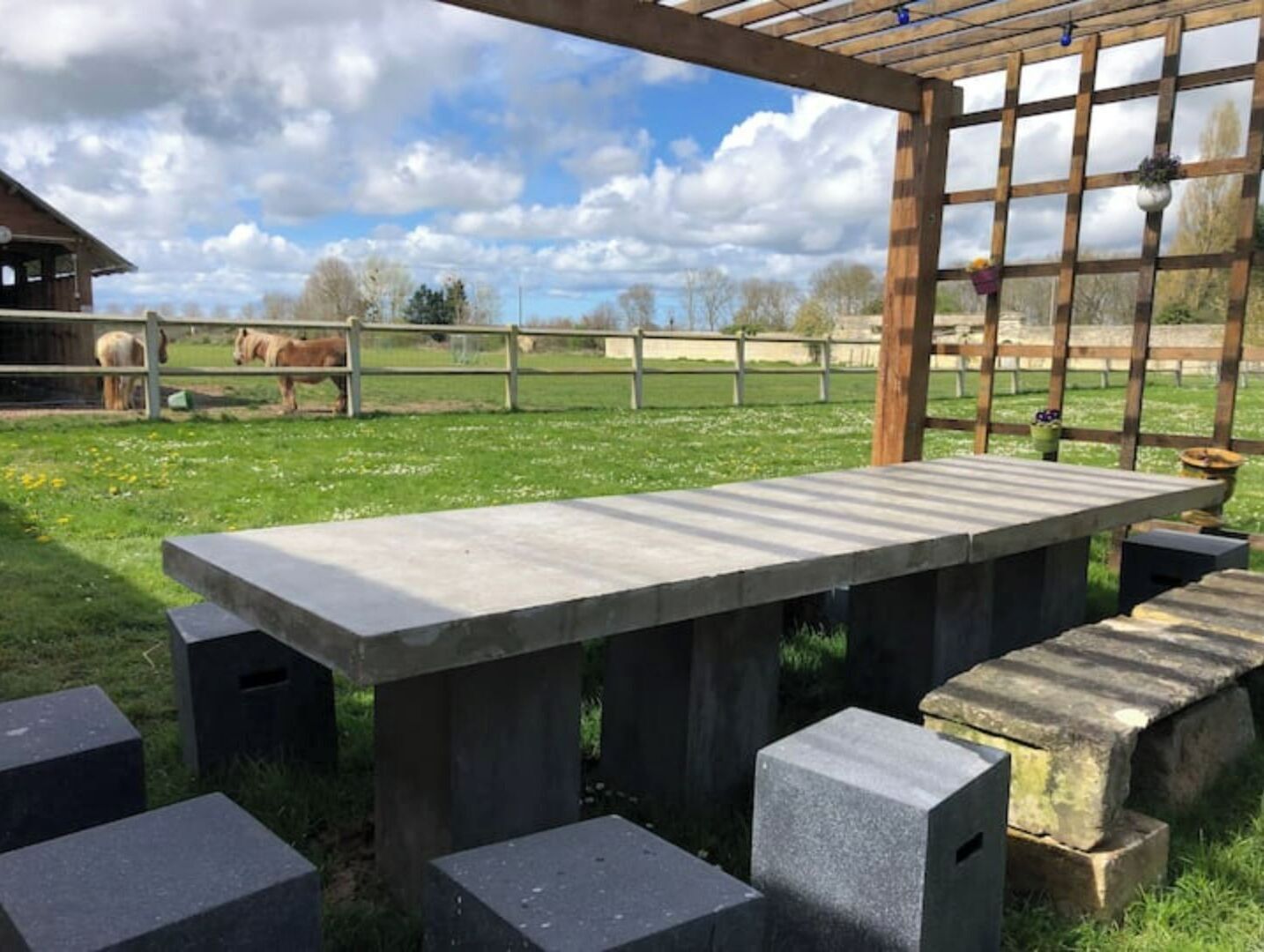 Ein Betontisch und Bänke in einem von Zäunen umgebenen Außenbereich mit Blick auf Pferde im Hintergrund.