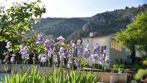 Un jardín con flores moradas y un edificio al fondo.