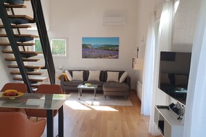 Smart TV, fireplace, books