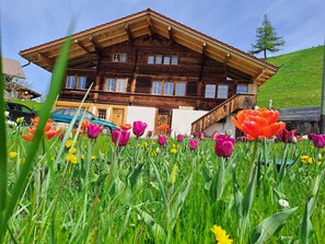 Chalet, 3 chambres, fumeur, balcon | Extérieur