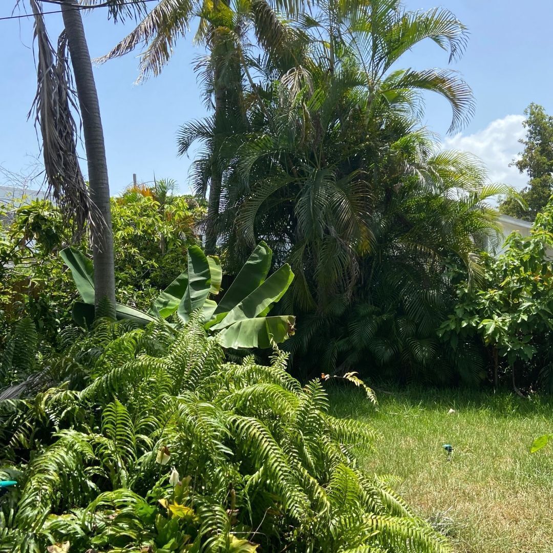 Photo - Eco-shared Gardenian