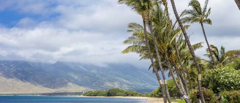 Condo, 1 Bedroom | Beach | On the beach