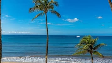 Condo, 1 Bedroom | Beach | On the beach