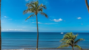 A beach with palm trees and a boat in the distance.