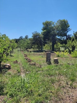 Parco della struttura