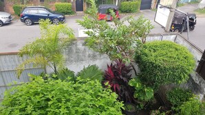 A residential area with a variety of plants, a blue car, and a red auto-rickshaw parked on the street. - Myhavelock Town Studio Apt, With Own Pvt Gate Parking in Main City (Colombo)
