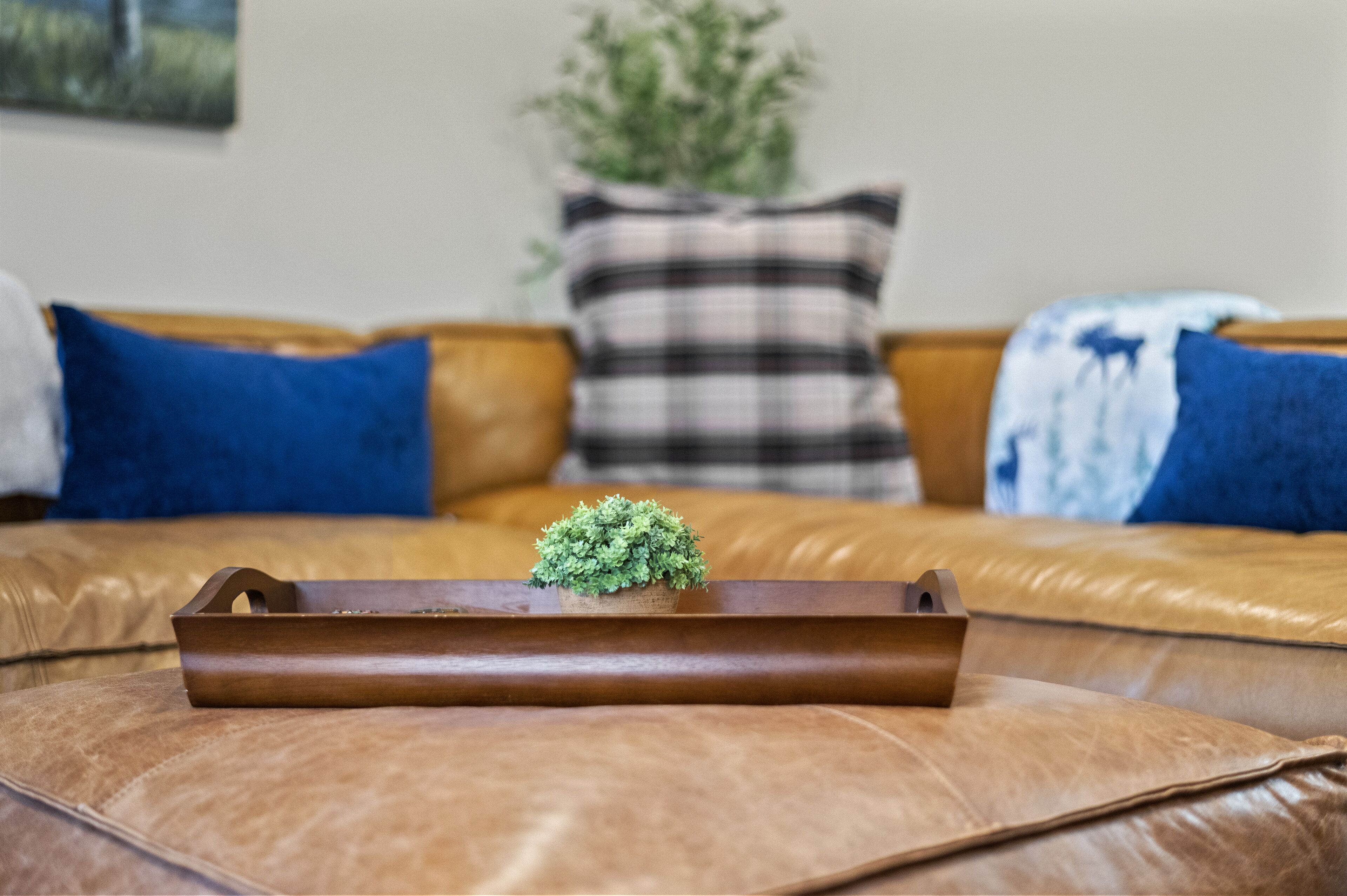 A brown leather sofa with a small green plant in a wooden tray, blue and plaid pillows, and a green plant in a pot in the background.
