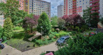 Apartment ZauĆek RogoziĆski