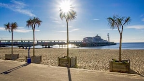 A beach with palm trees, a pier, and a building in the background. - NEW & Vibrant 1-Bed in Town Centre w/ Free Parking (Bournemouth)
