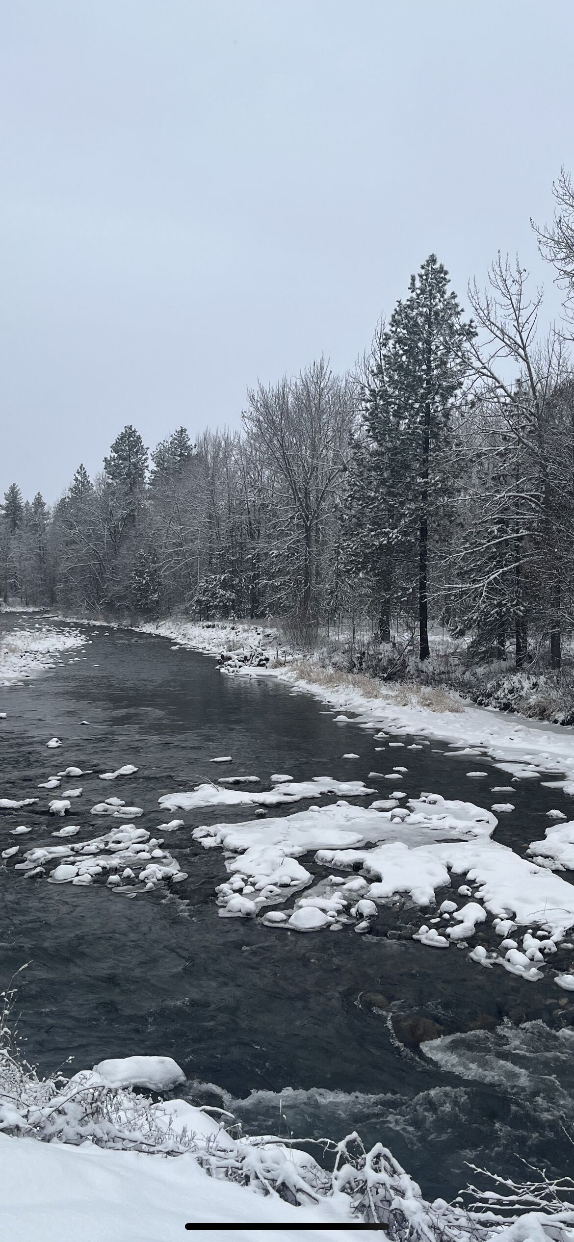 Ein Fluss mit Eisformationen und schneebedeckten Bäumen.