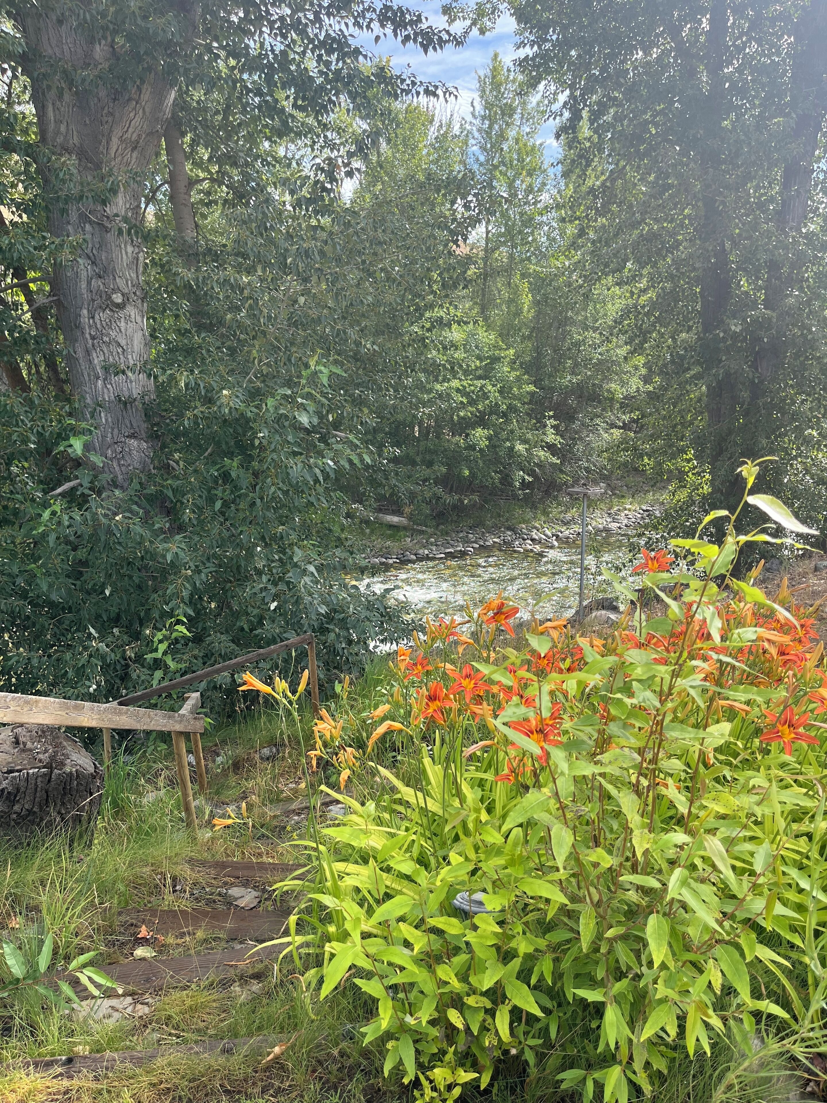 Parco della struttura