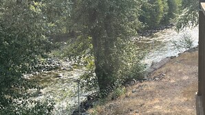 Un río serpentea por un área boscosa, con una estructura de madera a la derecha.