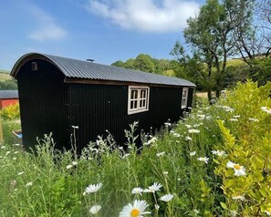 Ferienhaus | Unterkunftsgelände