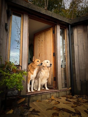 Ferienhaus | Außendetails