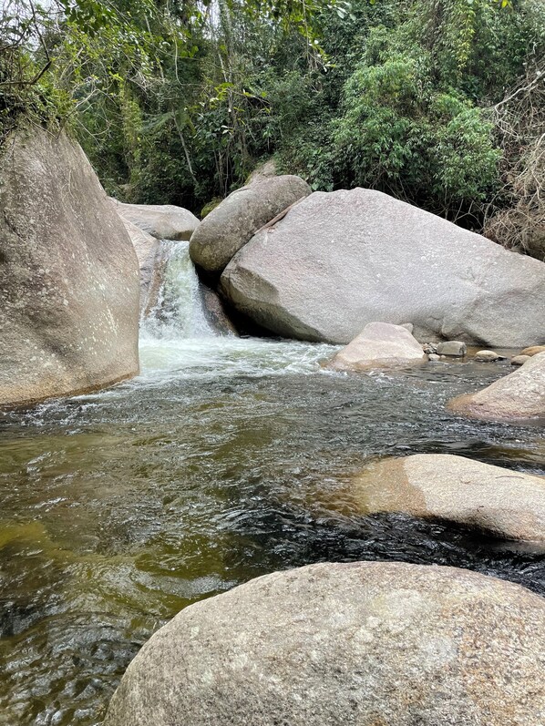 Un cours d’eau naturel, avec de gros rochers et un feuillage dense en arrière-plan.